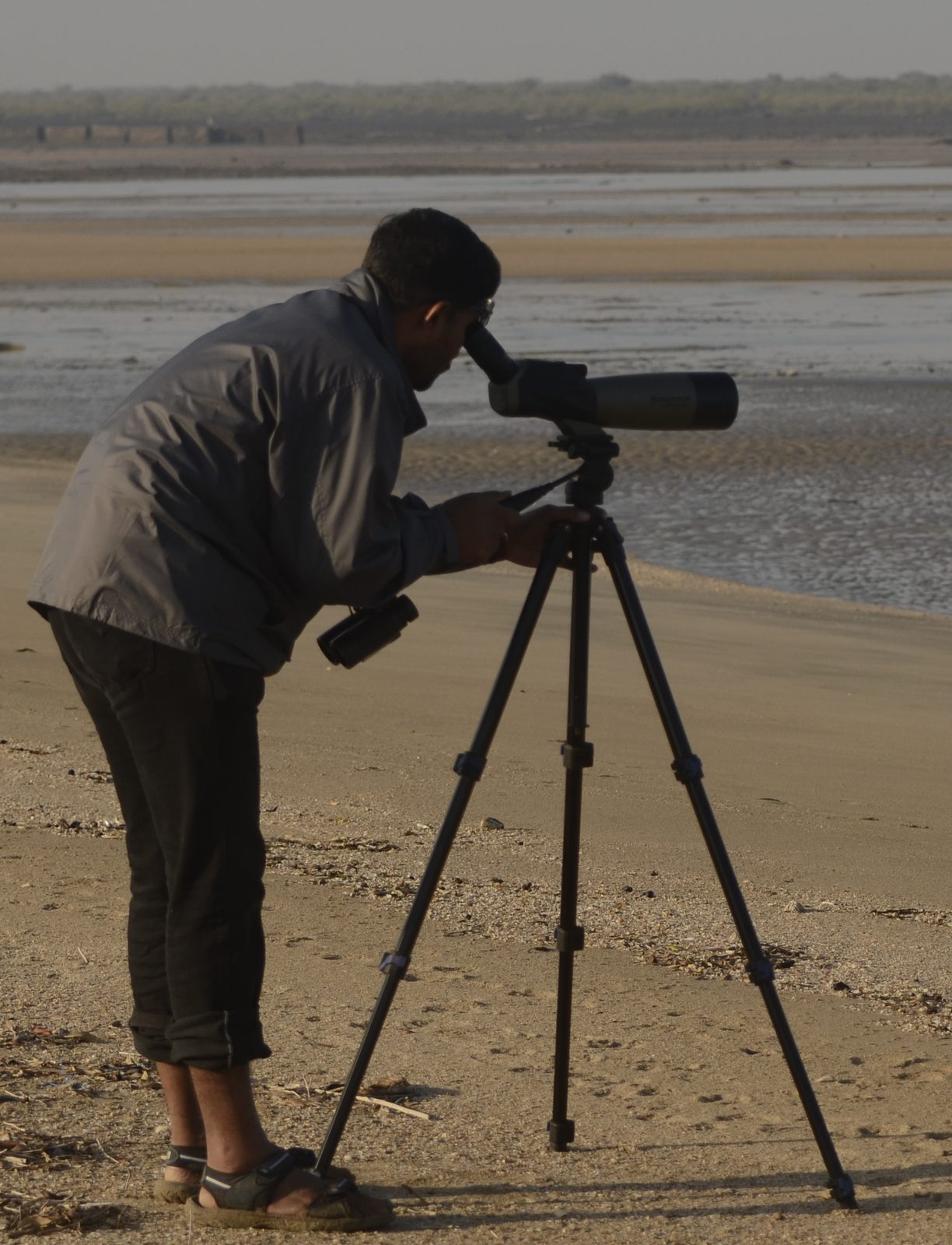 Comfortable harnesses for birdwatching
