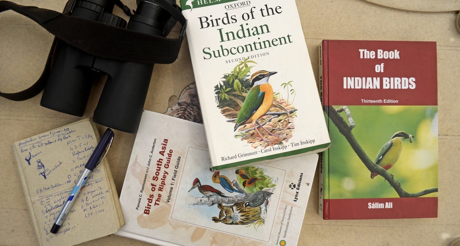 After the Outing: Care Tips from Birdoptic