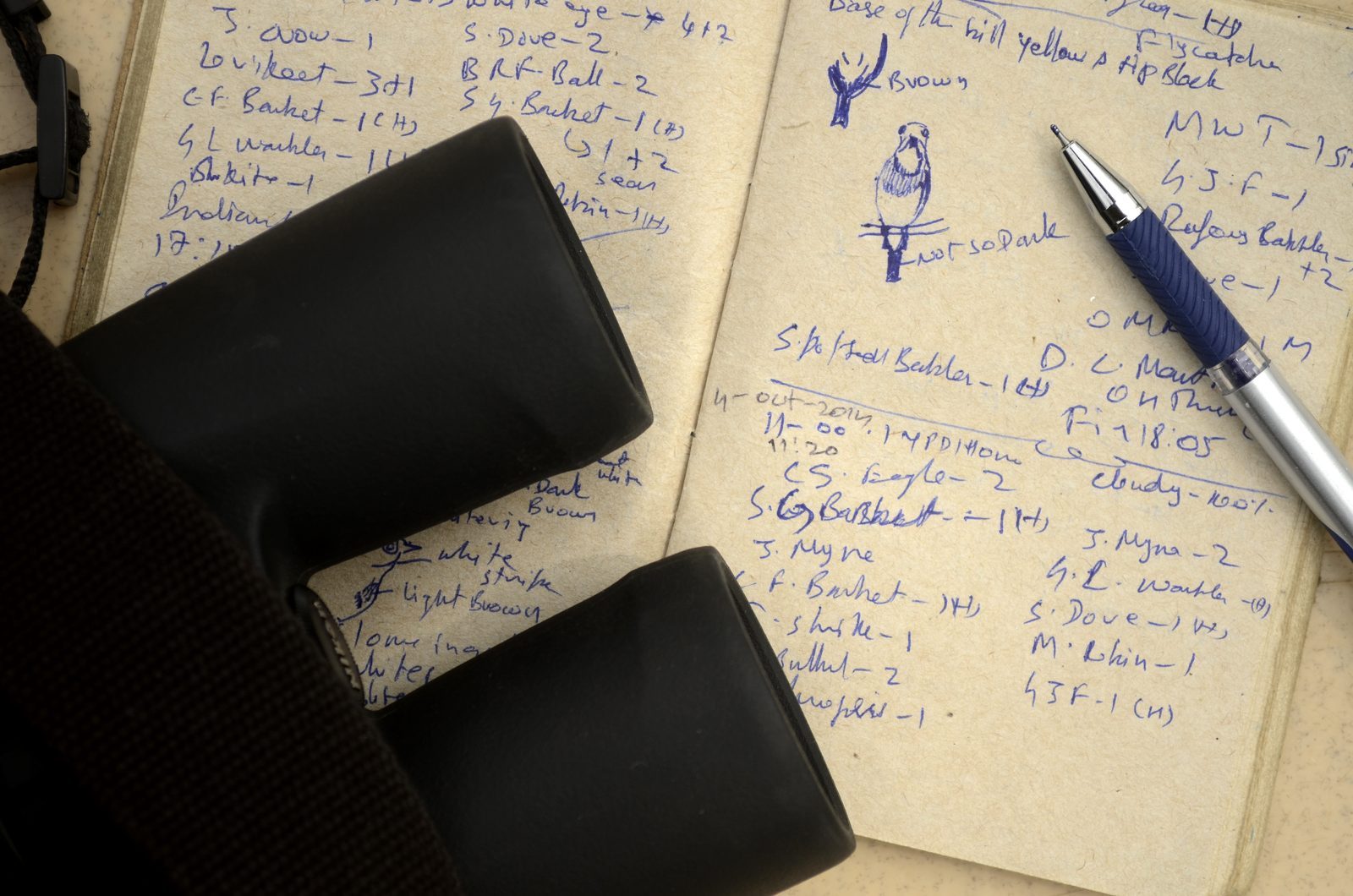 High-quality binoculars
