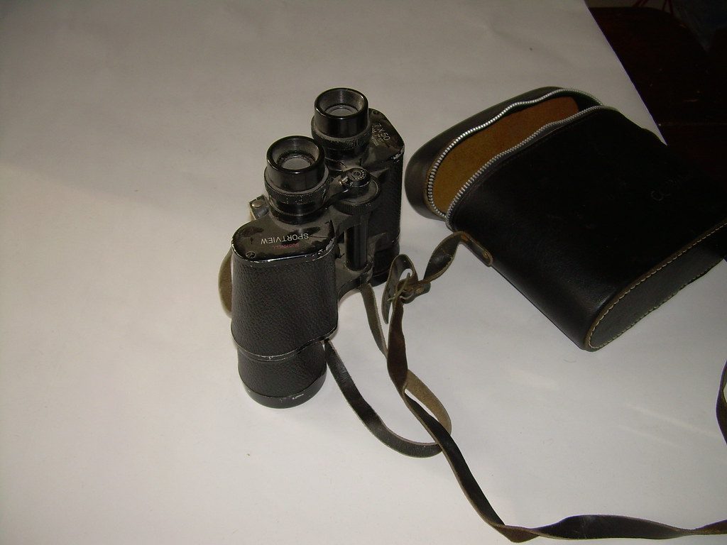 Birdwatching enthusiasts using binoculars