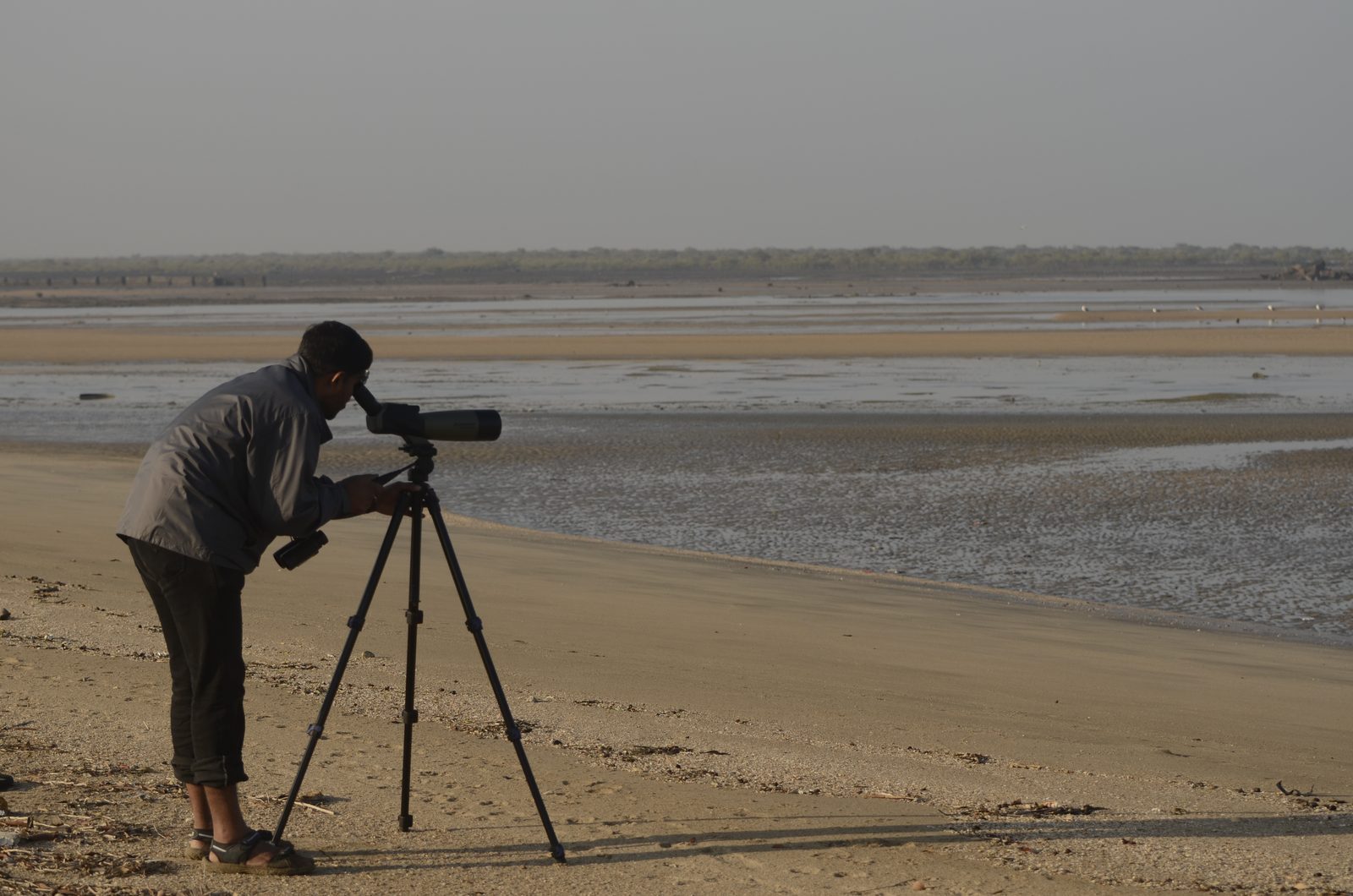 Demo session for birdwatching optics